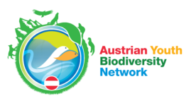 GYBN Austria