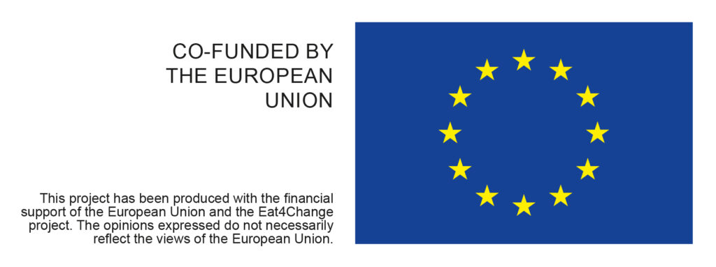 EU emblem and disclaimer 